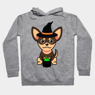 Cute small dog is a witch Hoodie